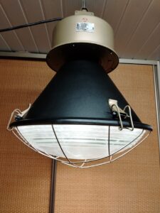 lampa2